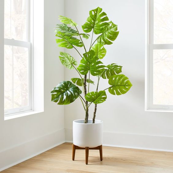Faux 5ft Monstera Plant & Wide Mid-Century Turned Wood Leg Planter Set | West Elm