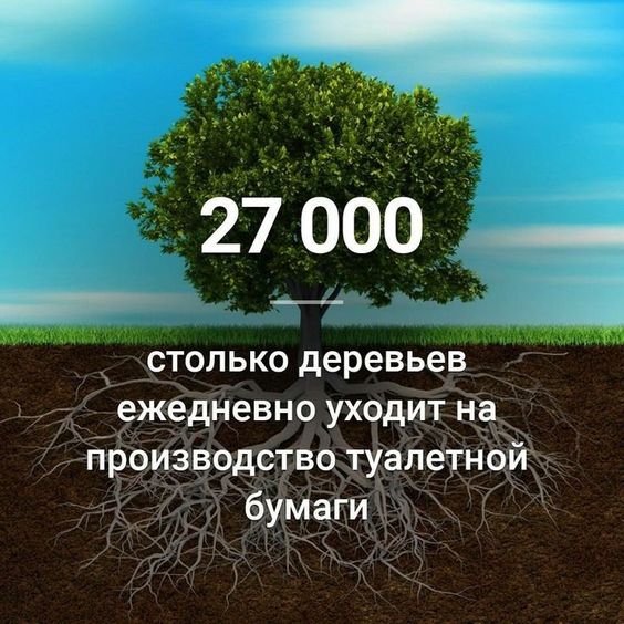 факти-бг