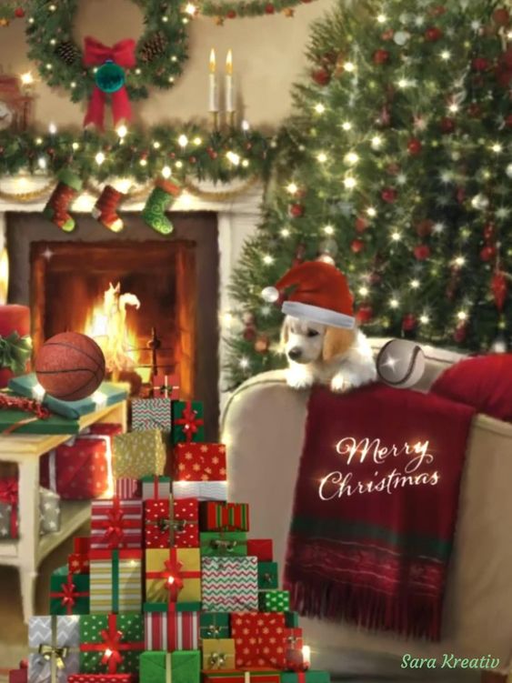 dp-christmas