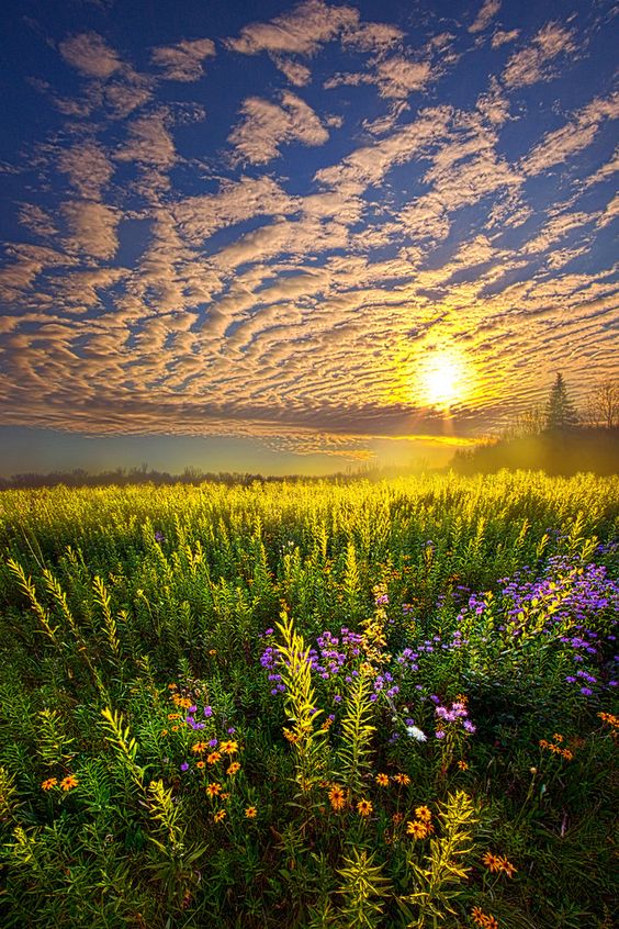 Alone With Nature | "Alone With Nature" Horizons By Phil Koch. Lives in Milwaukee, Wisconsin, USA.