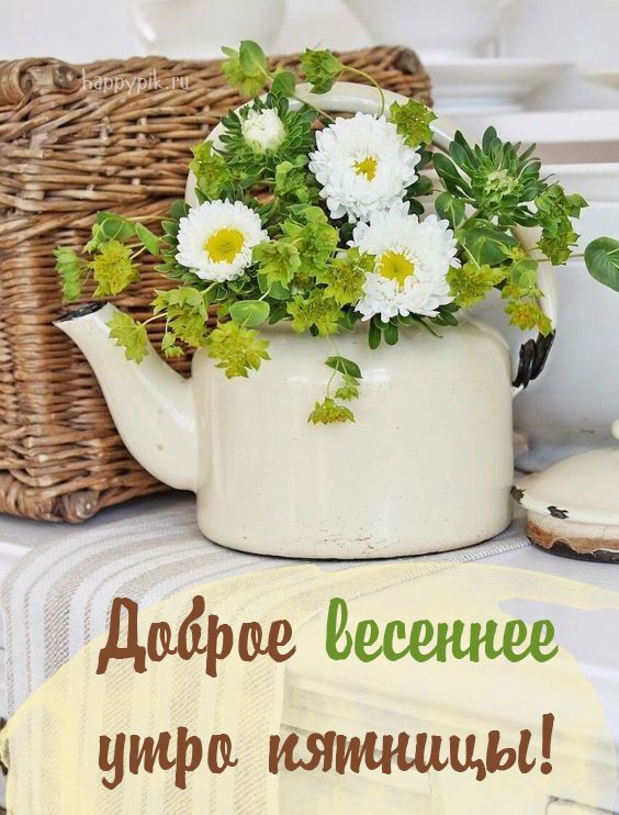 S Dobrym Vesennim Utrom Krasivye Kartinki O Vesne S Nadpisyami S