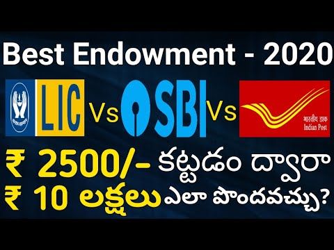 Postal Life Insurance Premium Bonus Calculator Version 2 0 Youtube