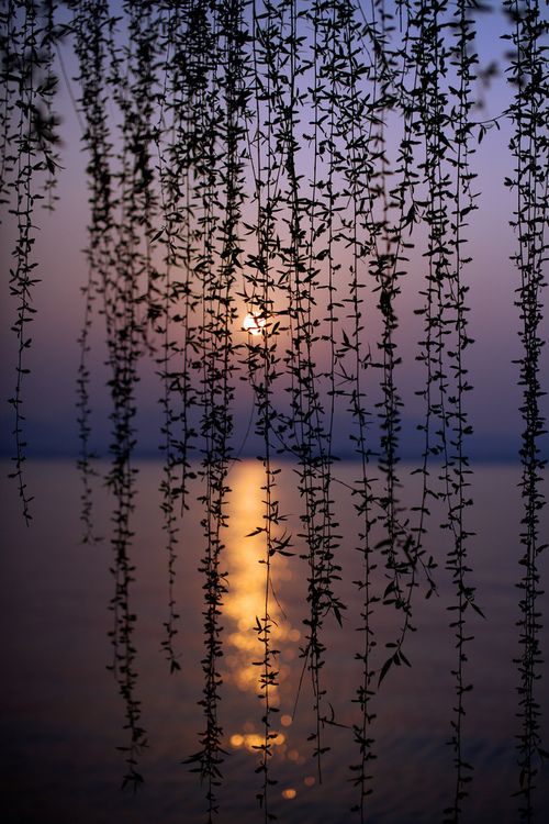 sun goes