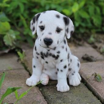 Sitting Sleepy Bulldog Puppy Statue Cute Baby Animals Cute
