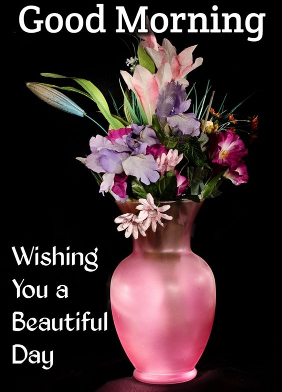 Good Morning Images with Flowers Good Morning Images Download HD good morning images photos pics
