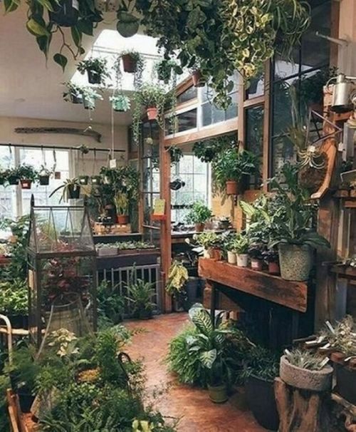 I Love Succulents Composizione Piante Grasse Composizione