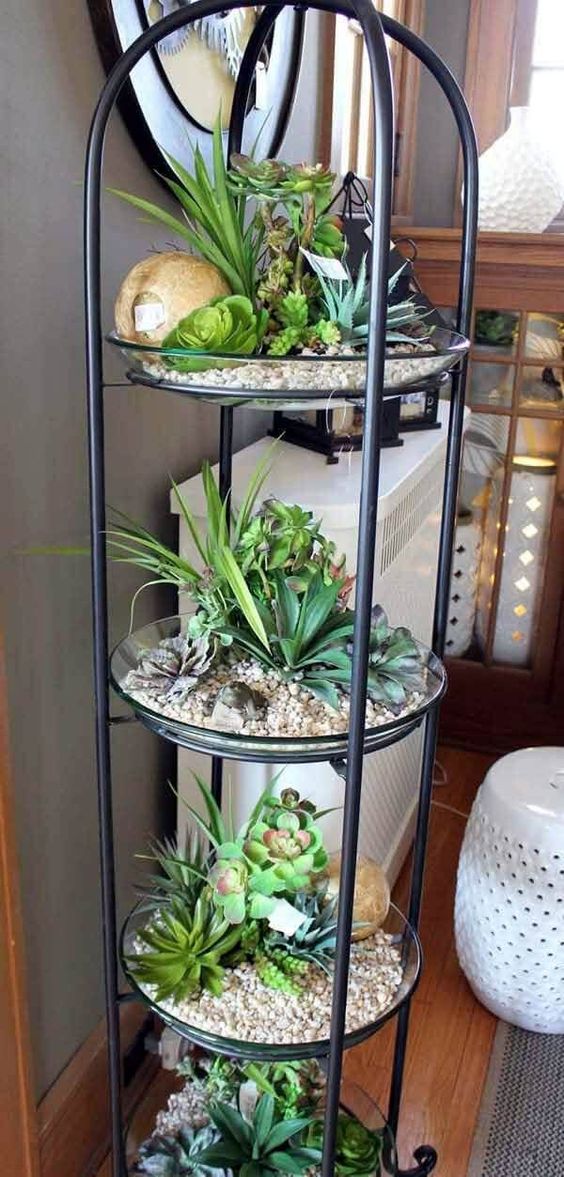 metal garden shelves for succulent #gardenIdeas #garden #gardening #plants #homeDecor #indoor #shelves