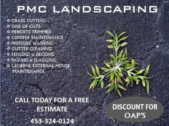 10 best Landscaping flyer templates images on Pinterest Flyer - free business flyer templates for word 10 best Landscaping flyer templates images on Pinterest Flyer - free business flyer templates for word