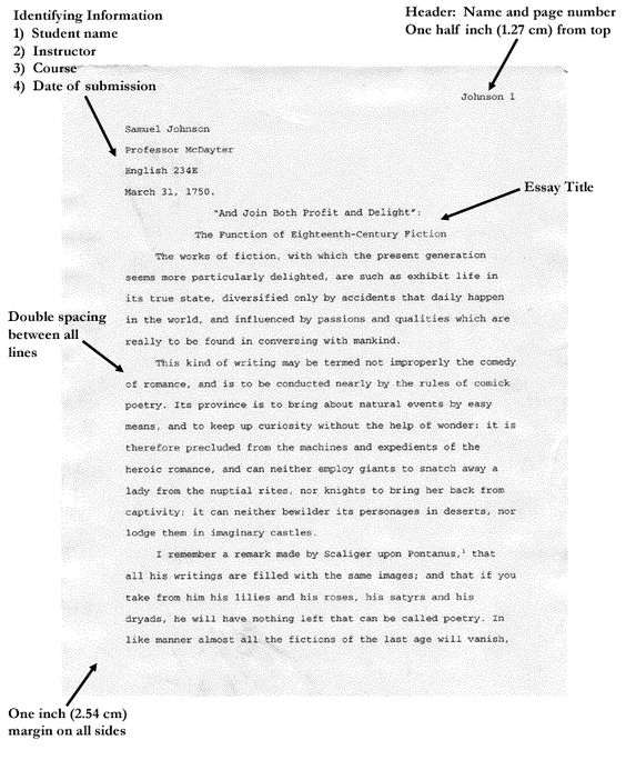 Summative Essay Research Paper In Apa Format Example Essay With Apa Format How To Write A Comparative Essay also Essay On Social Problem Research Paper In Apa Format Example Rohosensesco Research Essay Conclusion