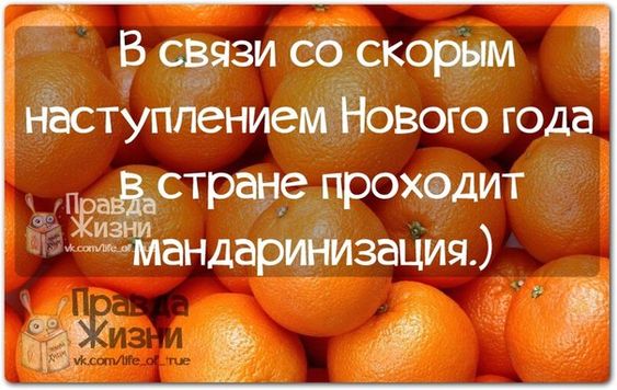 Прикольные фразочки в картинках №271214 » RadioNetPlus.ru развлекательный портал