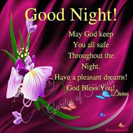 10 Good Evening & Good Night Images