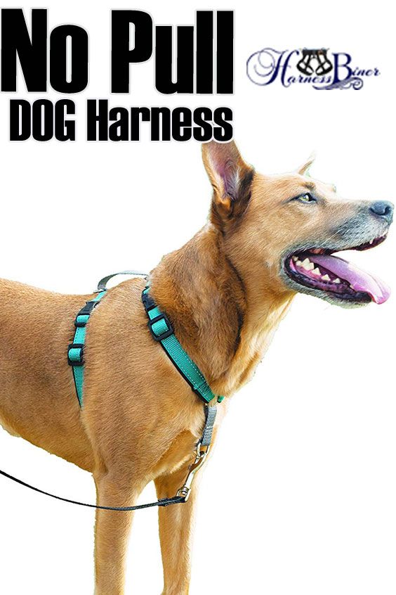 No Pull Dog Harness Stops Pulling Reduce Or Stop Pulling With The