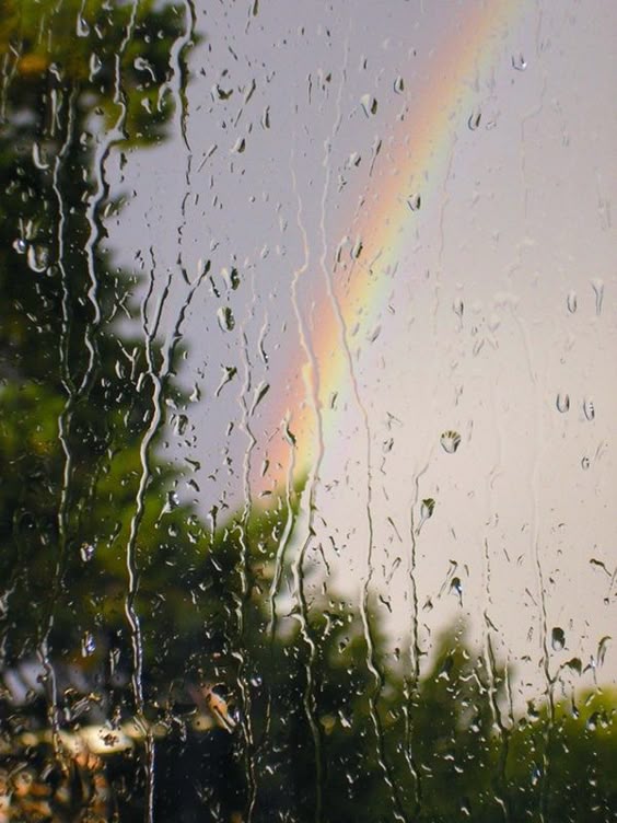 Mind Pausing Rain Photography Ideas