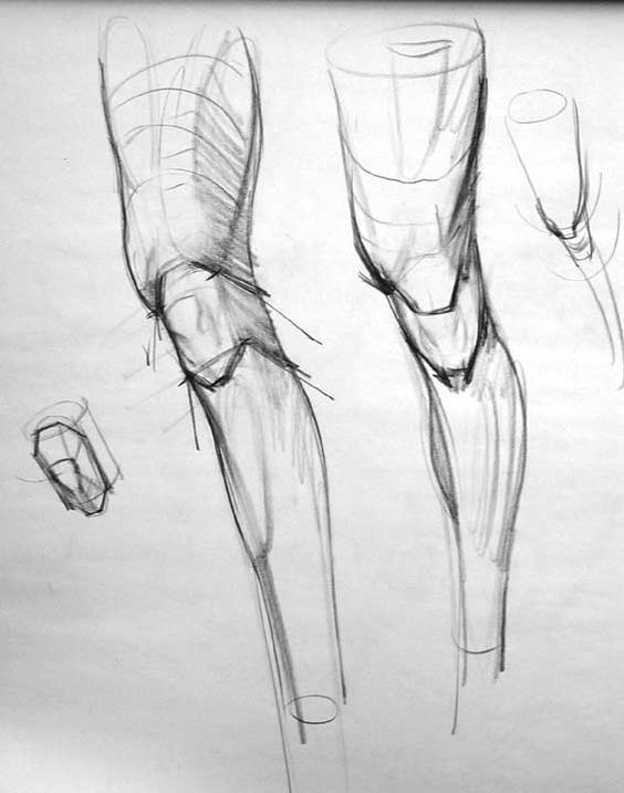 Karakalem Anatomi Model Cizimleri Konya Resim Kursu Figure Drawing Anatomy Art Human Figure Drawing
