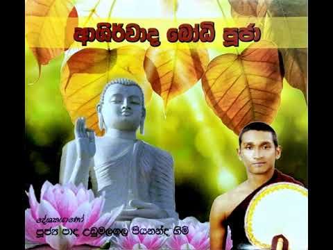 Aashirwada Bodhi Puja - ආශිර්වාද බෝධි පුජා - YouTube