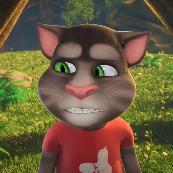 Talking tom and friend