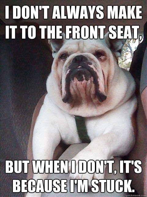 Funny Bulldog The Funniest Bulldog Videos And Memes Funny Dog