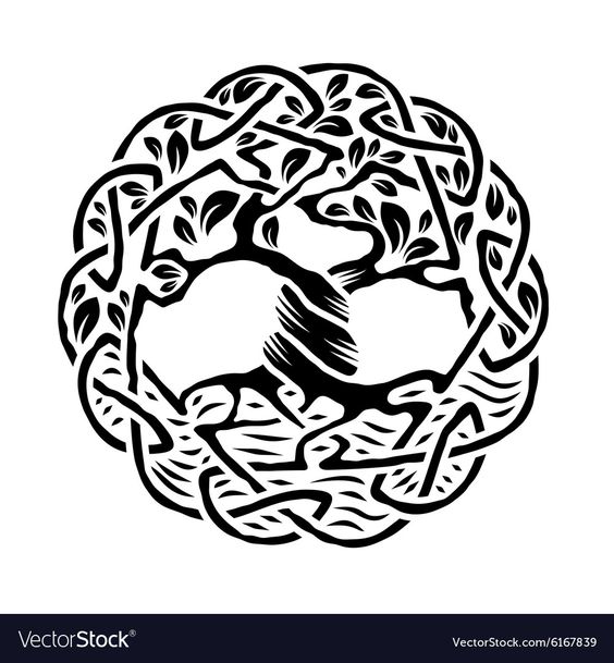 Celtic tree of life vector image on VectorStock