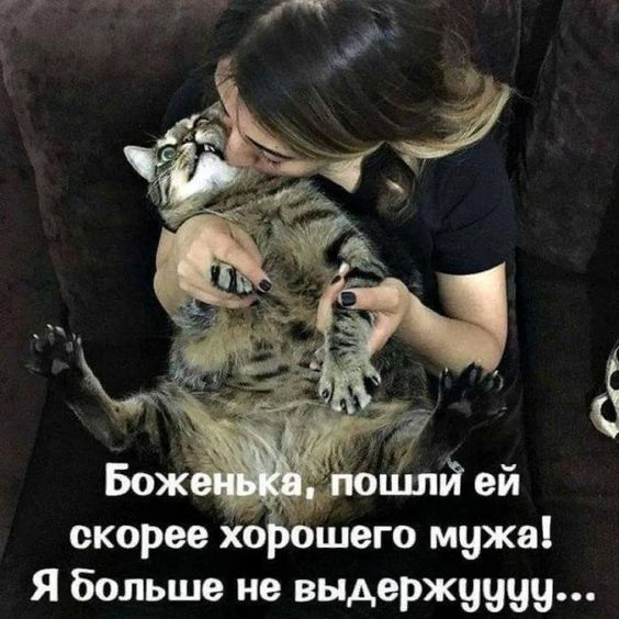 Отрубил Илья Муромец Змею-Горынычу одну голову — а на ее месте десять новых выросло...