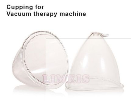 The second domes I bought
