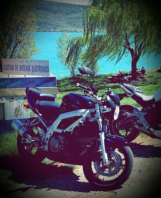 Sv 650