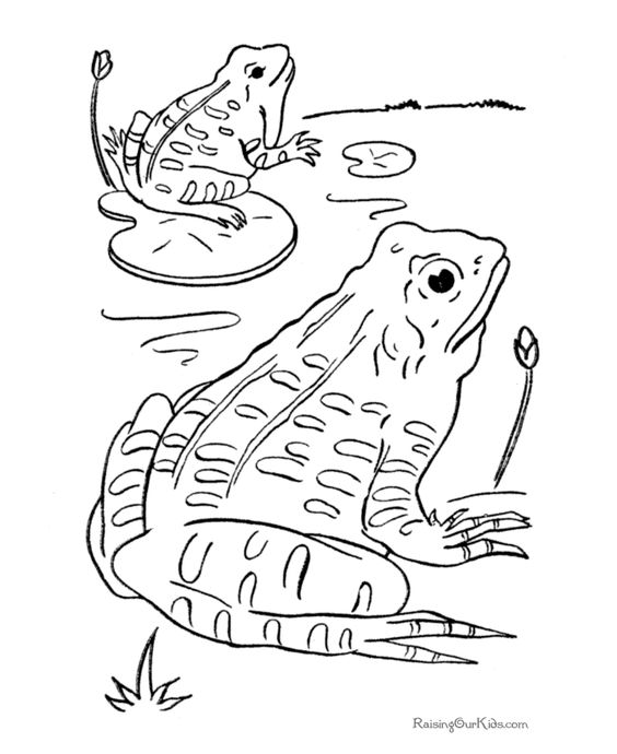 oh snap paranormal light painting activity paintings and photoshop - Frog Coloring Pages Free Printable 2 oh snap paranormal light painting activity paintings and photoshop - Frog Coloring Pages Free Printable 2