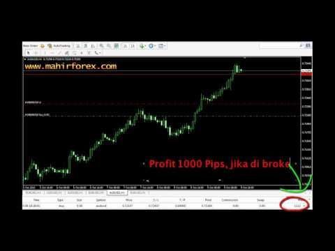 forex trading tanpa)