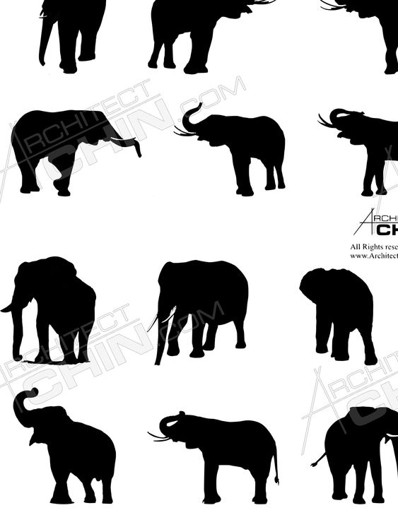 Elephant Silhouette, Printable, Digital Download, Elephant Clip Art, Animal Silhouette, Animal Clip Art, Mugs, Animal Graphics, Animal, PNG