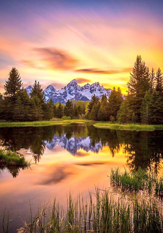 A fantastic world 🦋 on Twitter