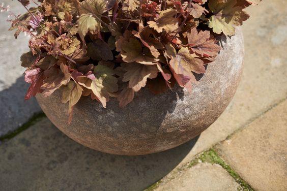 Πάνω από 25 κορυφαίες ιδέες για Blumenkübel fiberglas στο - pflanzkubel aus beton gestalterische highlights Πάνω από 25 κορυφαίες ιδέες για Blumenkübel fiberglas στο - pflanzkubel aus beton gestalterische highlights