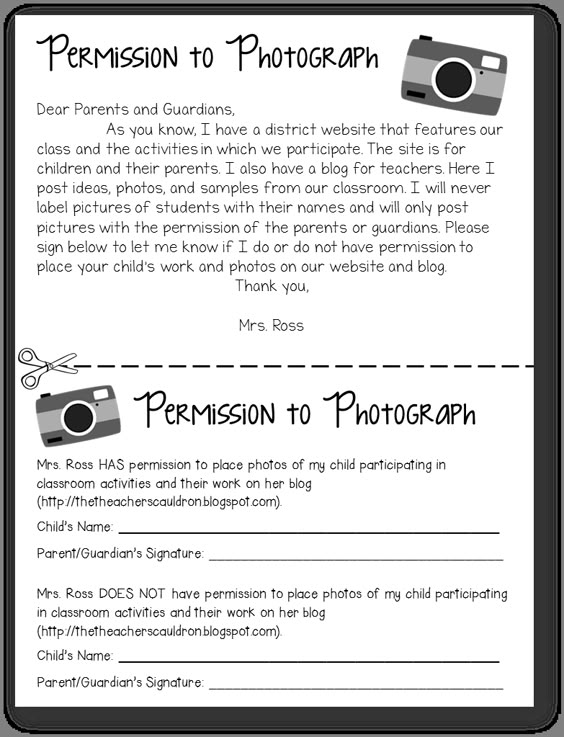 Marsh Owl, Mark Drysdale, FB, 2015 scontent-waw1-1xx - parental consent form Marsh Owl, Mark Drysdale, FB, 2015 scontent-waw1-1xx - parental consent form