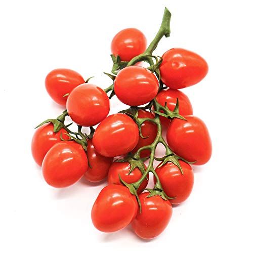 Home Decoration Gonioa 16 PCS Red Artificial Fake Cherry Tomatoes Lifelike Simulation Fake Fruits Model Photography Props Offices
