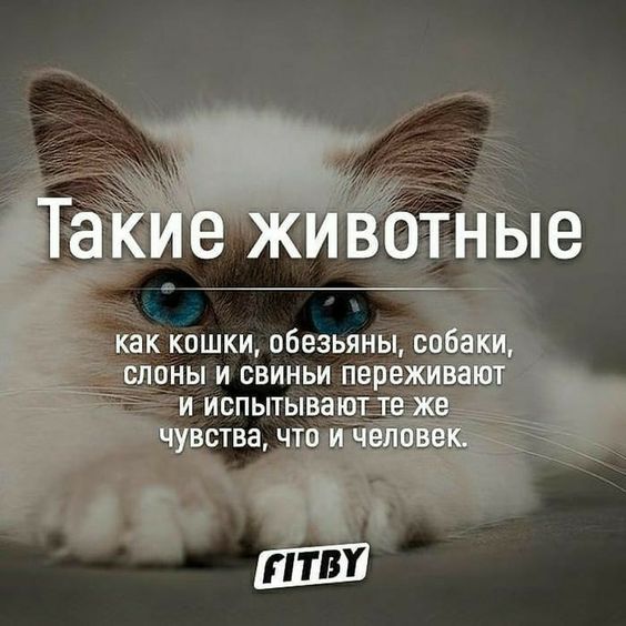 факти-бг