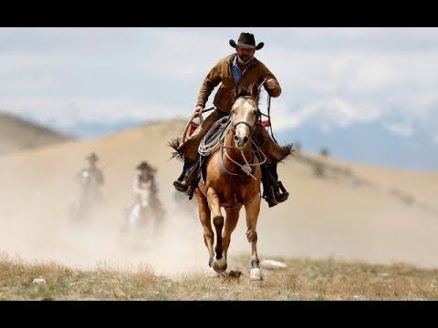 Y Donde Está El Pistolero Profesional Western Película Completa En Español Hd 1080p Youtube Películas De Artes Marciales Películas Completas Peliculas