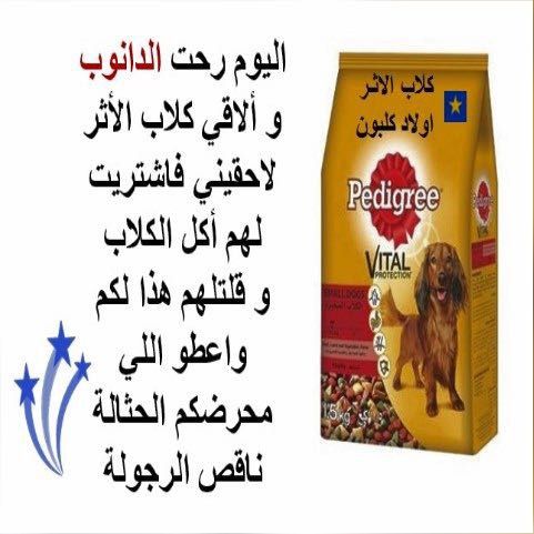 Pin By ليلى On ابراهيم اباحيه Playbill Broadway