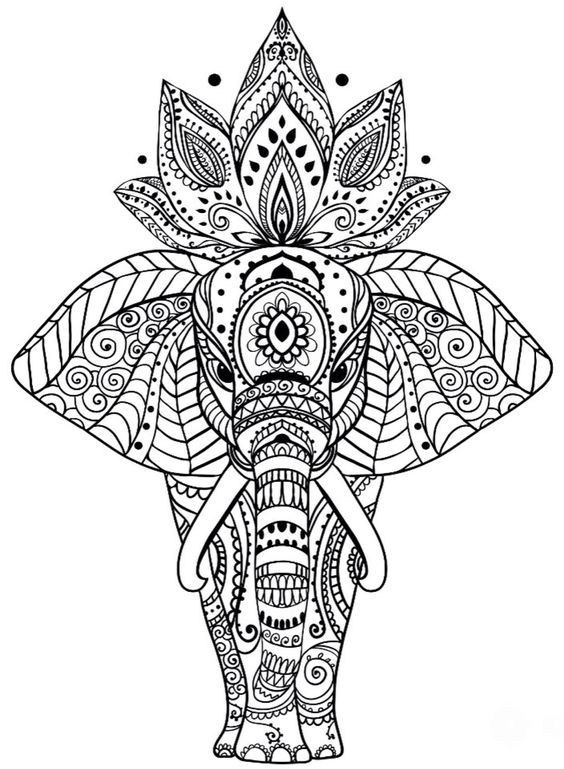 animal coloring pages more pins like this one at fosterginger pinterest mandala elephant page coloriage les climats de notre terre