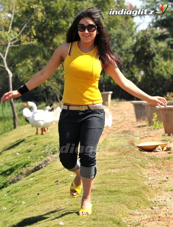 Aksha Pardasany Photos - Telugu Actress photos, images, gallery, stills and clips - IndiaGlitz.com