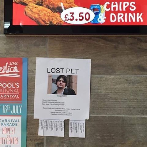 shitindiedisco/2016 09 09 065408/Julian Casablancas on our - lost pet poster shitindiedisco/2016 09 09 065408/Julian Casablancas on our - lost pet poster