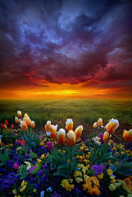 are-clouds-part-nature-photos