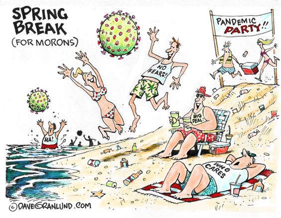 Dave Granlund – Editorial Cartoons and Illustrations » COVID19 Spring Break Morons