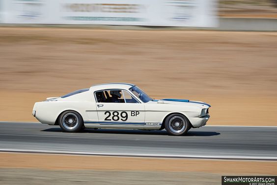 Starring: ‘66 Shelby GT350 By Adam Swank #design #graphicdesign #illustration