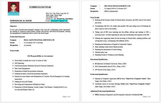 Deputy Accounts Manager Resume Resume Job Pinterest - fleet manager resume Deputy Accounts Manager Resume Resume Job Pinterest - fleet manager resume