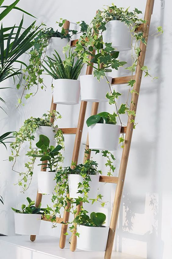 planters that clip onto the rungs of the ladders #gardenIdeas #garden #gardening #plants #homeDecor #indoor