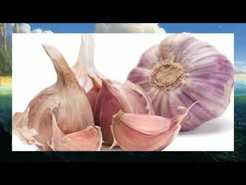 Tomar un diente de ajo en ayunas para adelgazar