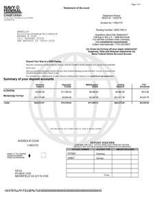 Bank Income Statement Monthly Credits Debits Balance Proof Verification Validation Loans M In 2020 Bank Statement Navy Federal Credit Union Income Statement
