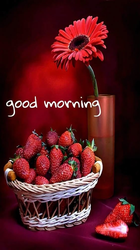 Good morning
