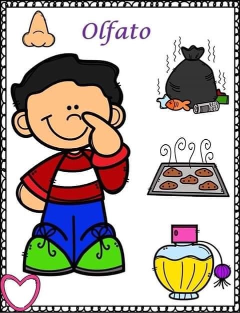 Tareitas Sentido Del Olfato Los Cinco Sentidos En Preescolar Los Sentidos Para Niños Actividades 5 Sentidos