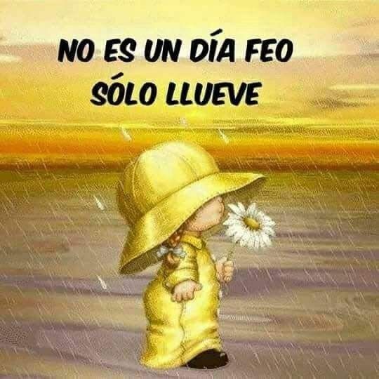 Pin De Rossana Duarte En Saludos De Buenos Días Imagenes De Dias Lluviosos Frases De Dias Lluviosos Dia De Lluvia Frases