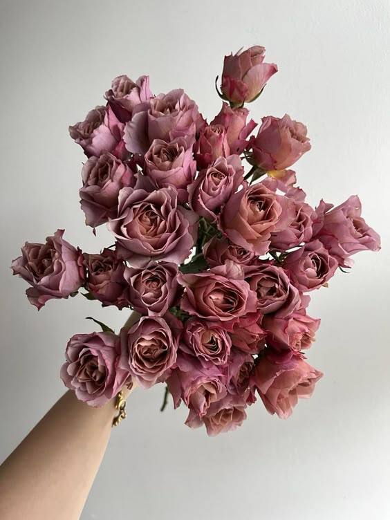 "Sola" Mauve Spray Roses