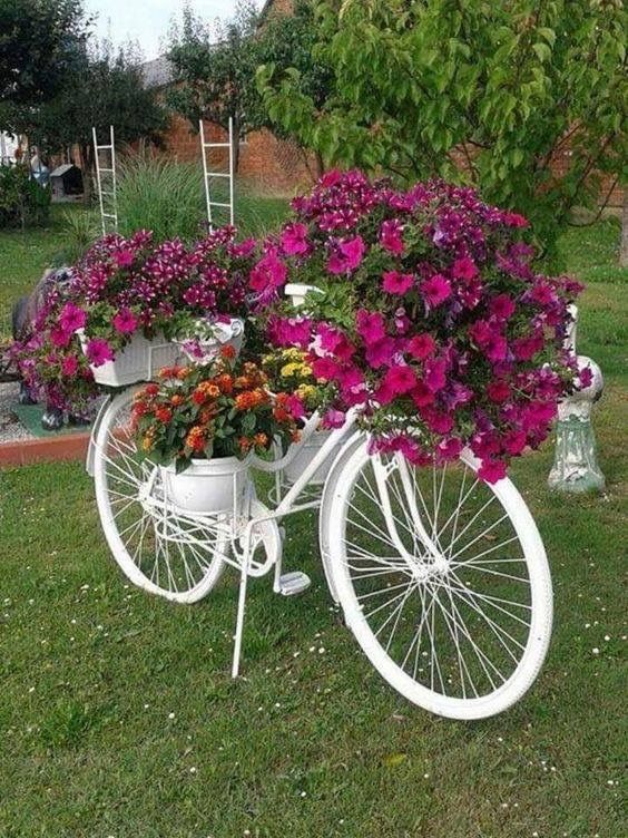 Ideias para Jardim: Dicas de como criar um jardim simples